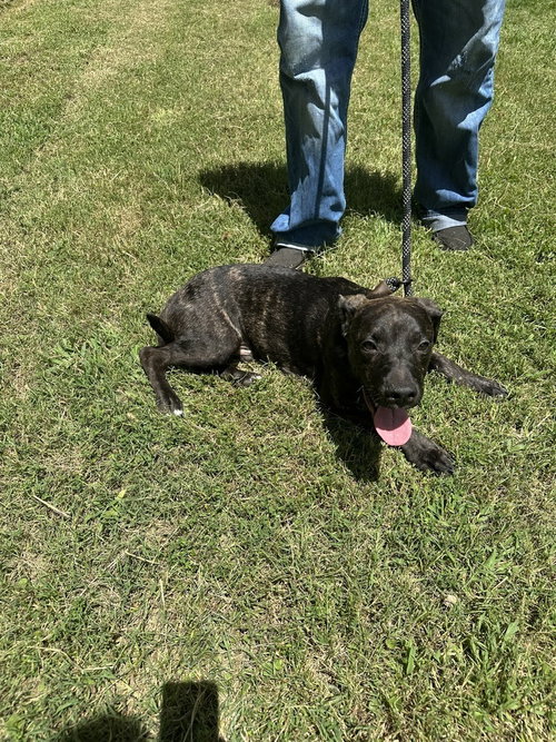 Wally photo 1