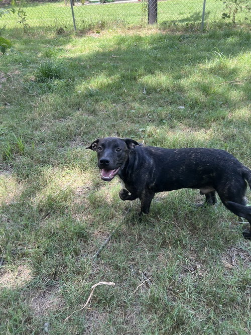 Wally photo 3