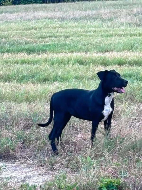 Photo 2 of Sally