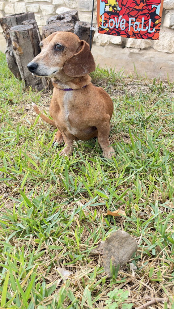 Max D, photo 3