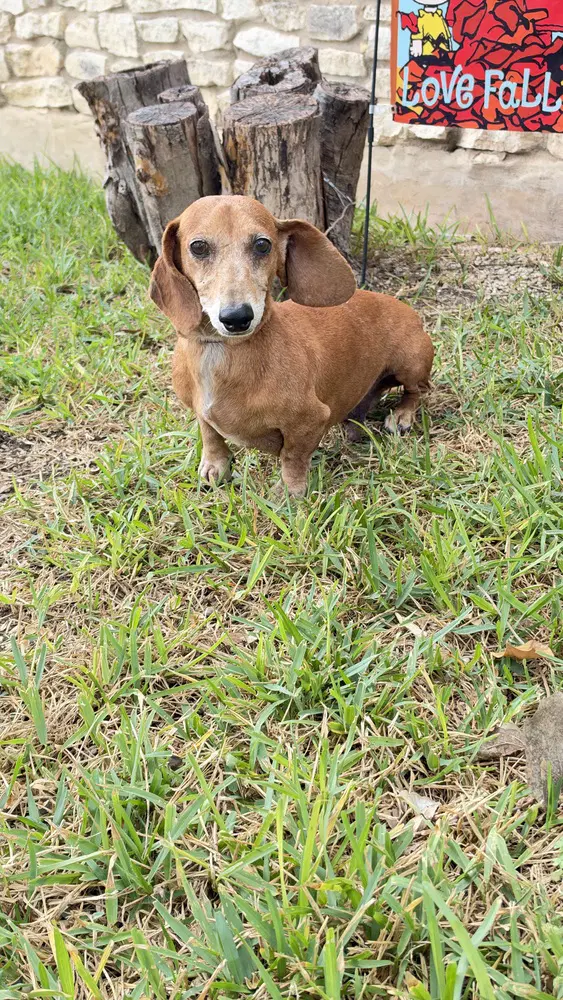 Max D image 4
