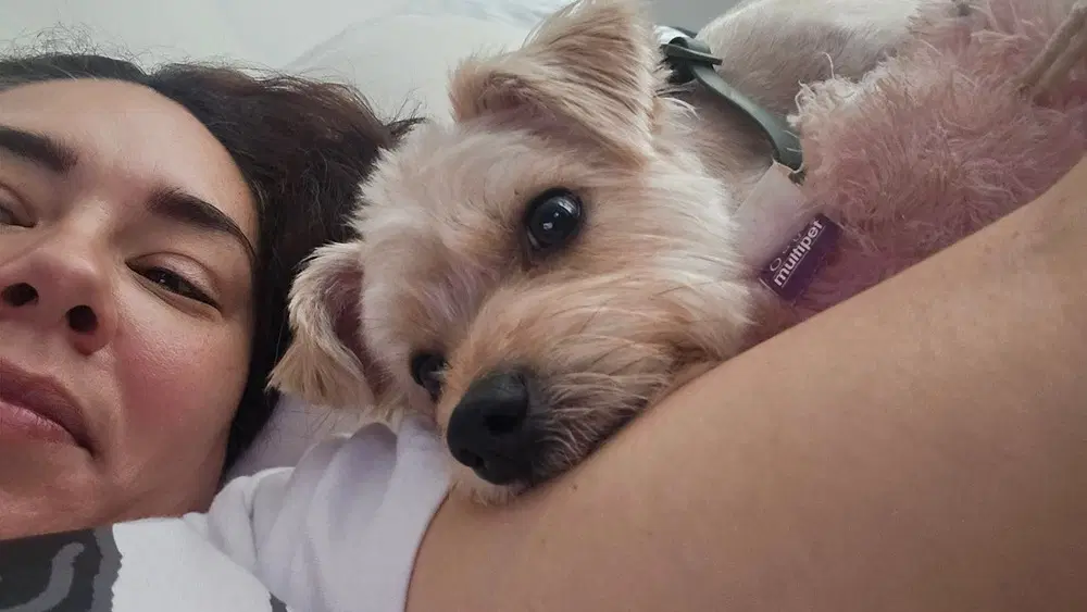 Toby image 4