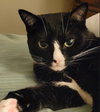 Sally - Photo 1