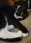 Sally - Photo 3
