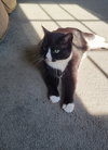 Sally - Photo 4