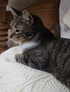 Jonah - Photo 2