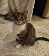 Jonah - Photo 3