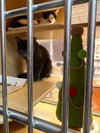Thomas - Photo 5