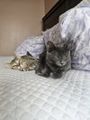 Ralph - Photo 4