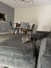 Silver - Photo 6