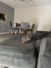 Silver - Photo 7