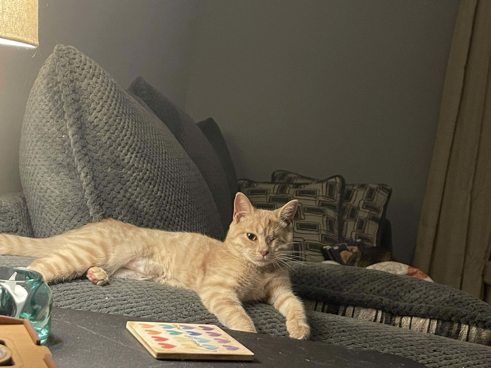 Butterscotch Image