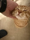 Juice - Photo 8