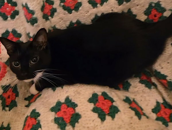 Audrey