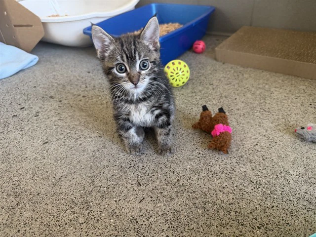 Quincy