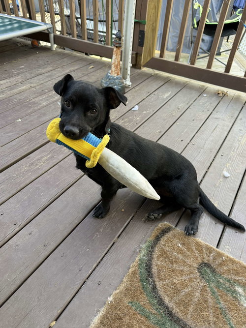 Popeye