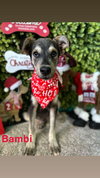 Bambi