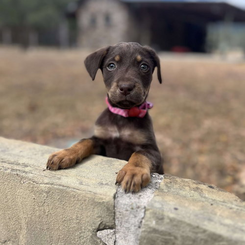 Zoe M