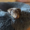 Zoe M