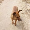 Rusty