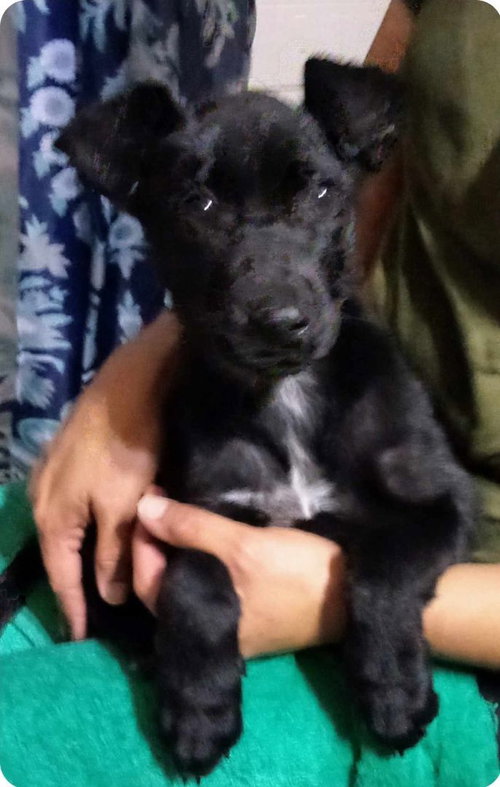 Winnie