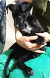 Winnie