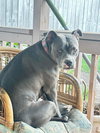 Roxanne