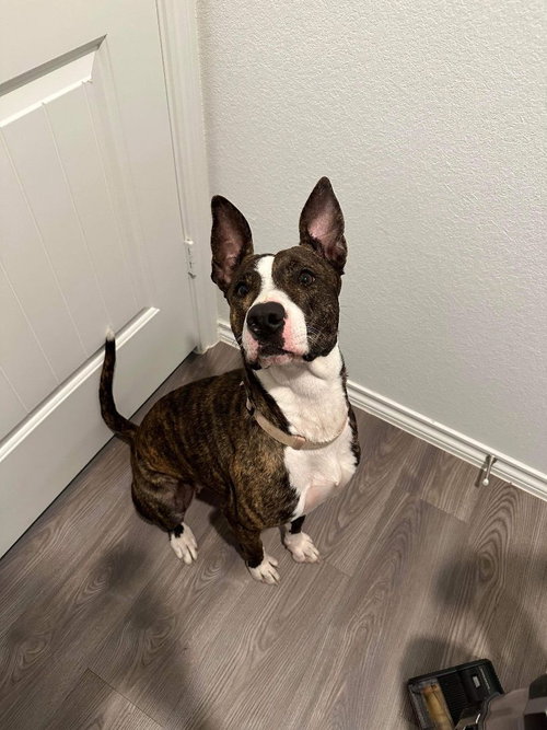 Coco