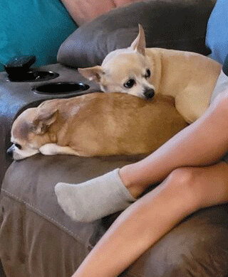 Luna & Daisy