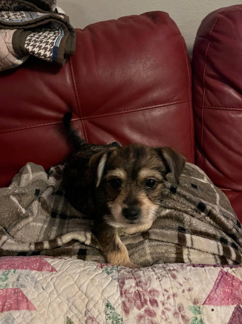 Zoe