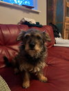 Lucy