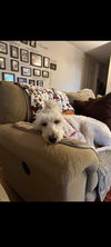 Ella