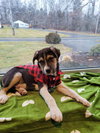 Lenny
