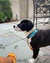 Buddy-Omar