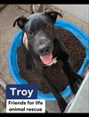 Troy