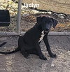 Jaclyn
