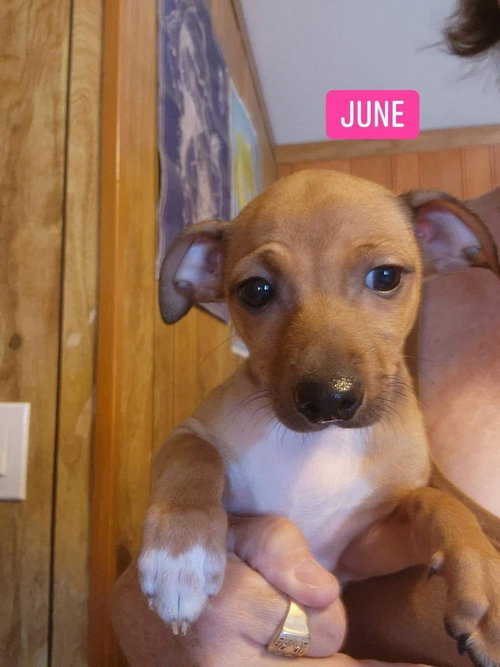 June