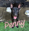 Penny