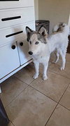Skye