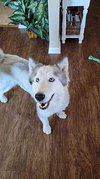Skye