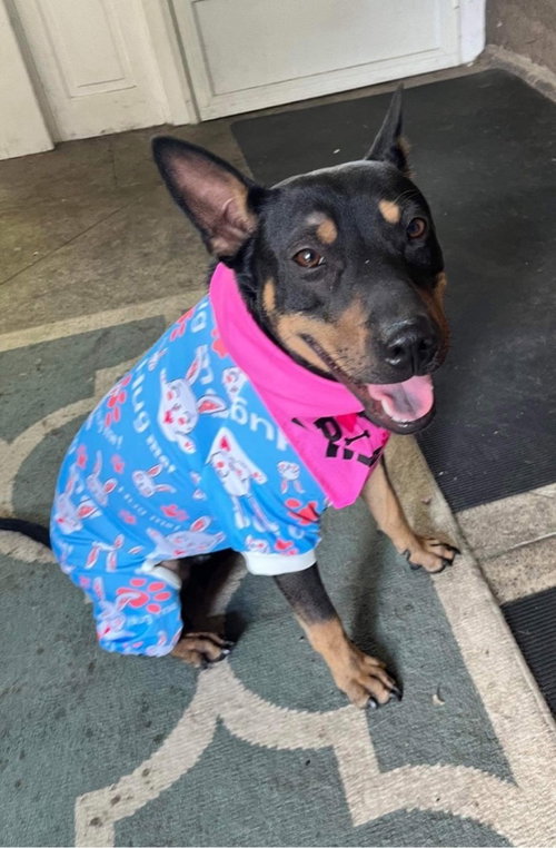 Ramona