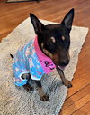 Ramona