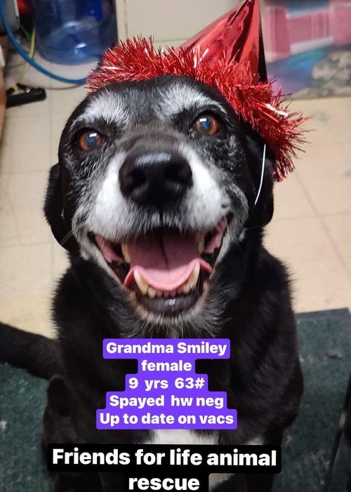 Gramma Smiley