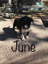 June