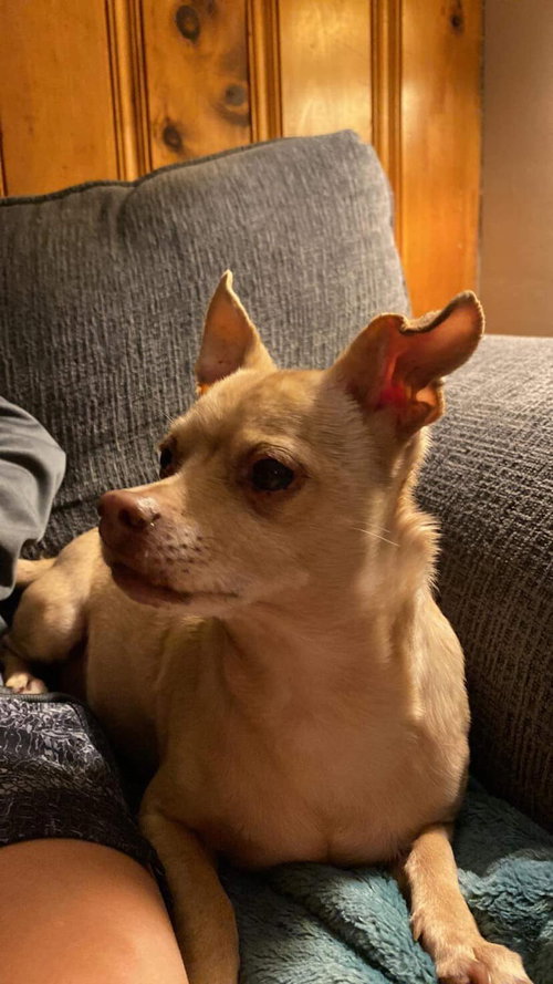 Charlie-C