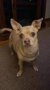Charlie-C