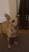 Charlie-C