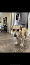 Ellie
