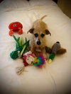 Ellie