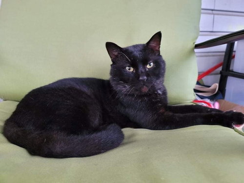 Salem